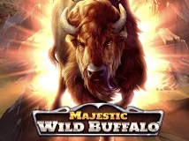 Majestic Wild Buffalo